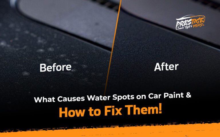 water spots on car paint