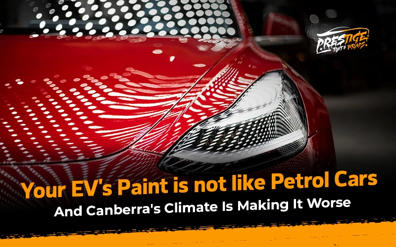 Your EV Paint Is Not Like a Petrol Car